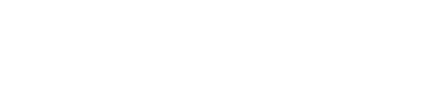 PHOENIX29 Logo